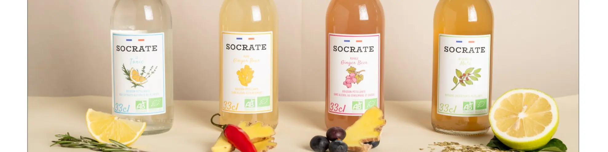 Achat produits Socrate en gros sur Ankorstore