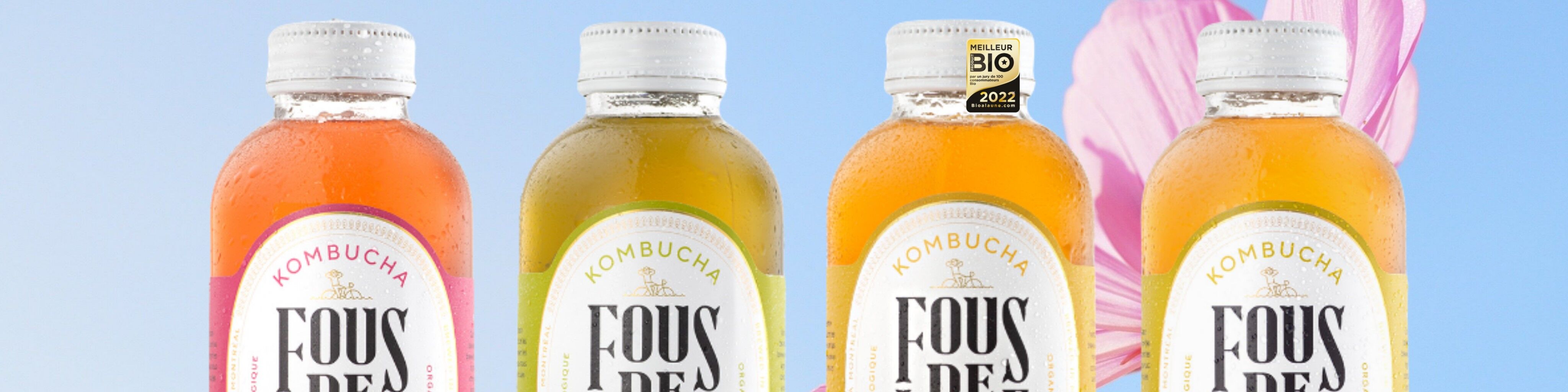Buy Fous de L'île Kombucha wholesale products on Ankorstore