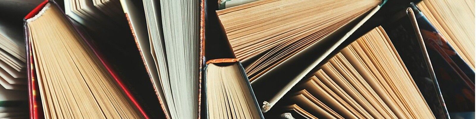 Achat produits The Endless Bookcase en gros sur Ankorstore