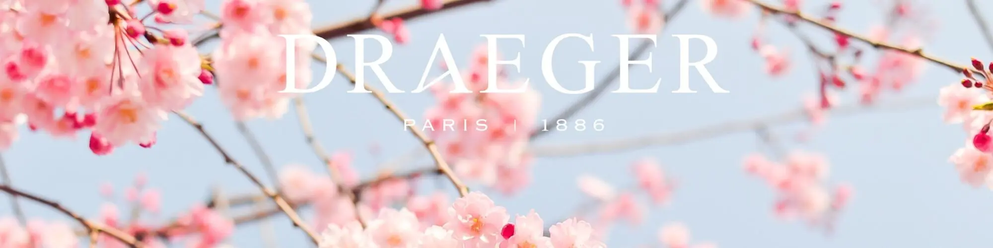 DRAEGER PARIS 1886 Tasse „Prinz“ – 11,6 X 9,5 X 8,2 Cm, Mit Geschenkbox – Gold & Schwarz Design
