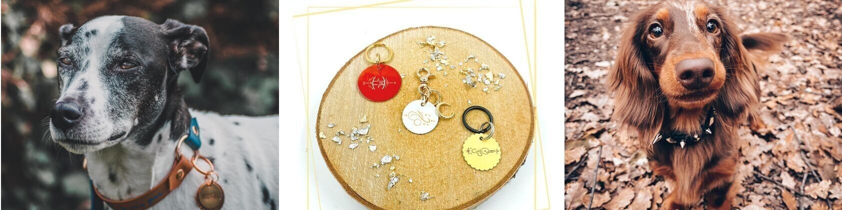 Buy Terra Dog Création wholesale products on Ankorstore