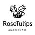 Rose Tulips Amsterdam