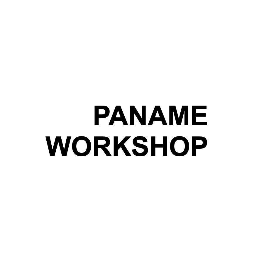 PANAME WORKSHOP