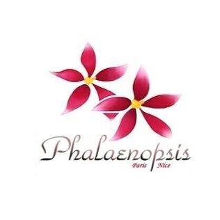 Phalaenopsis Paris