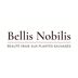Bellis Nobilis - Beauté Vraie aux plantes sauvages