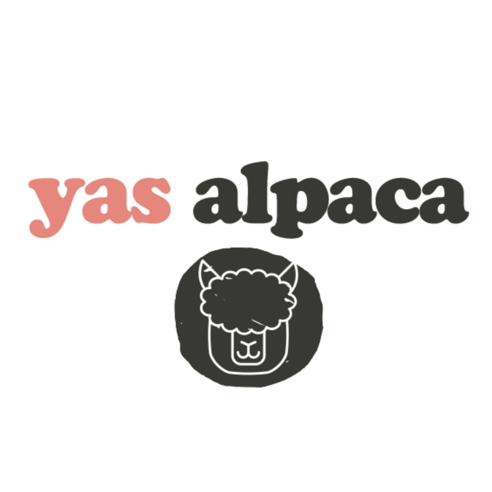 Yas Alpaca