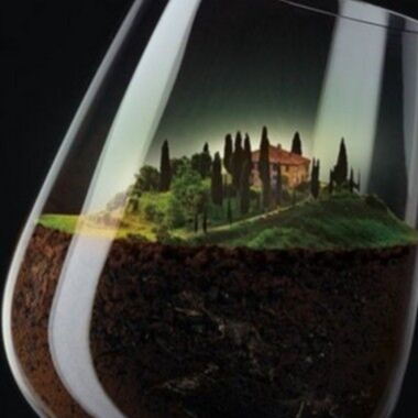 SO-TRADE WINE : VINS CASHER