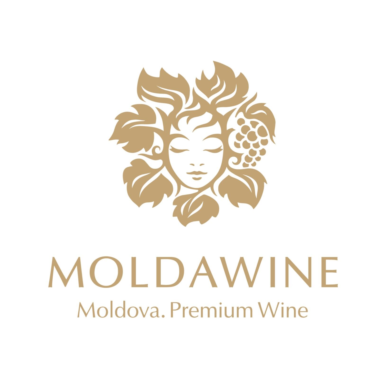 MOLDAWINE