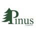 Pinus Company