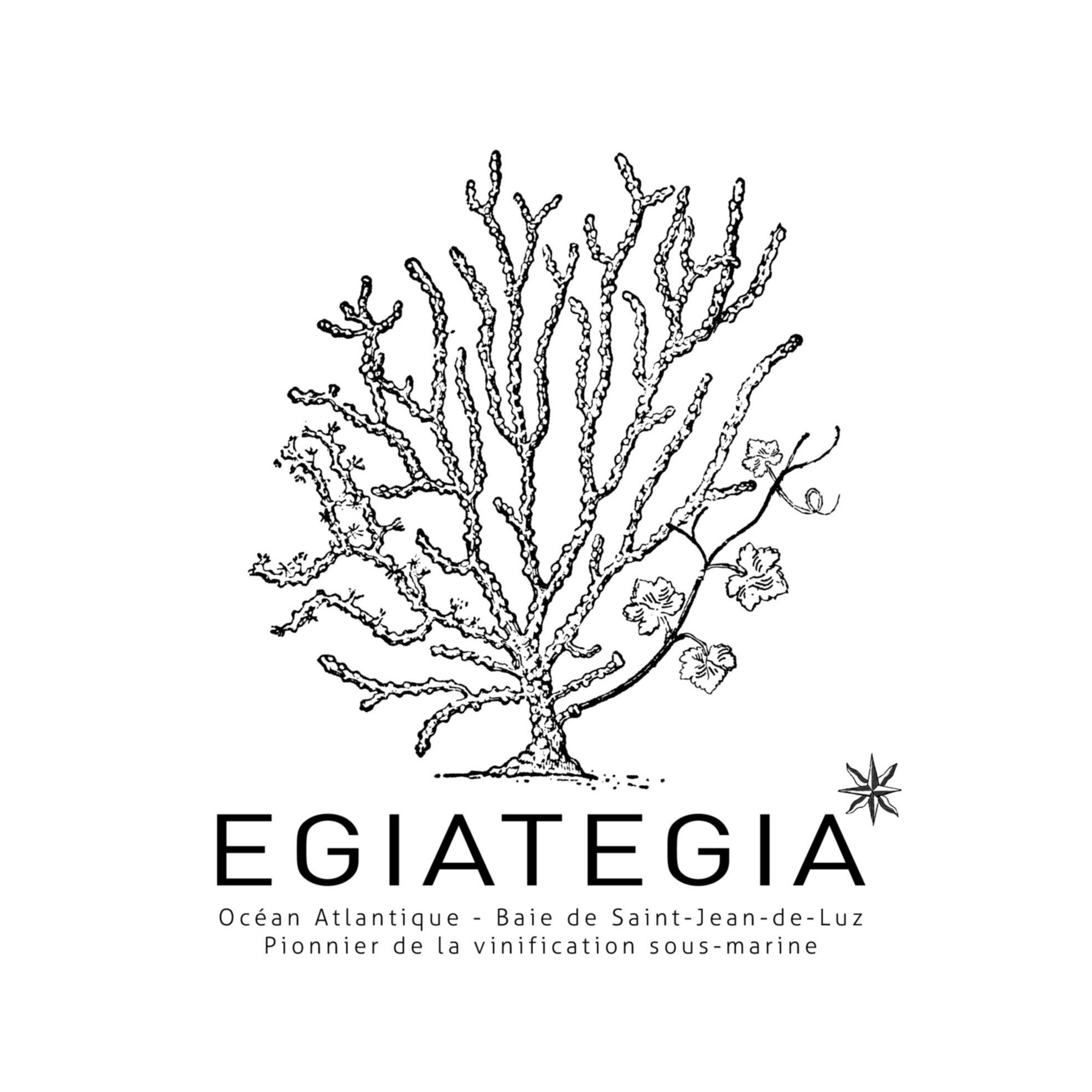 EGIATEGIA