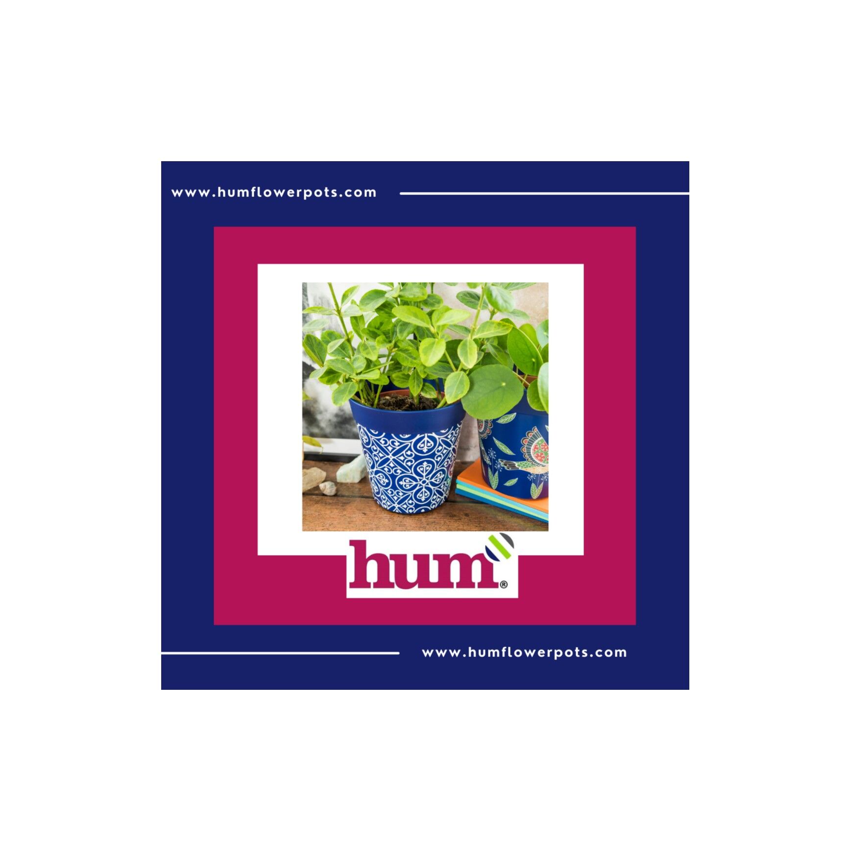 Hum Flowerpots