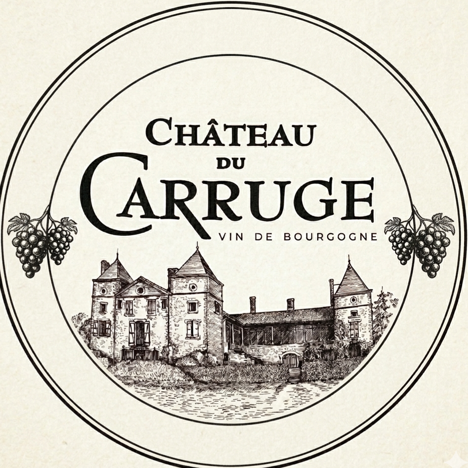 Château du Carruge