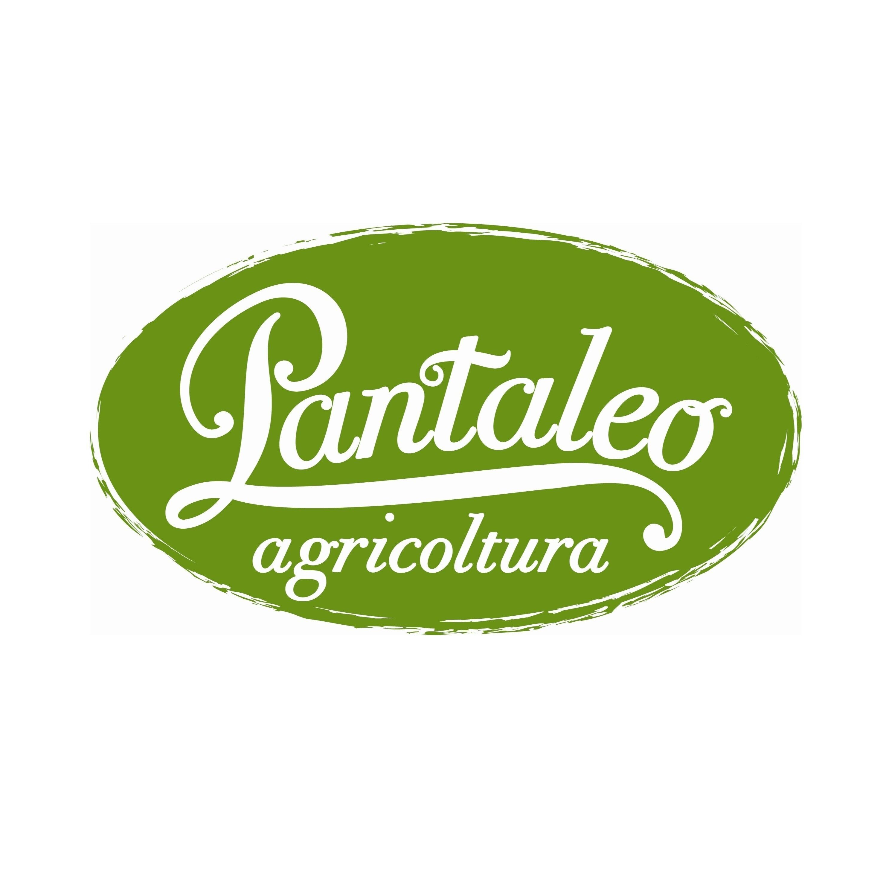 PANTALEO AGRICOLTURA