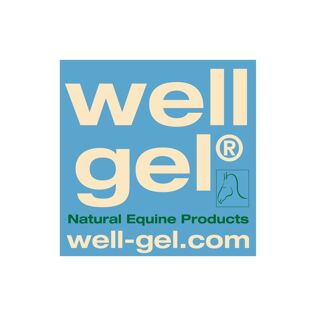 Well Gel Products