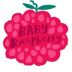 Baby Raspberry