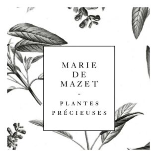 Marie de Mazet