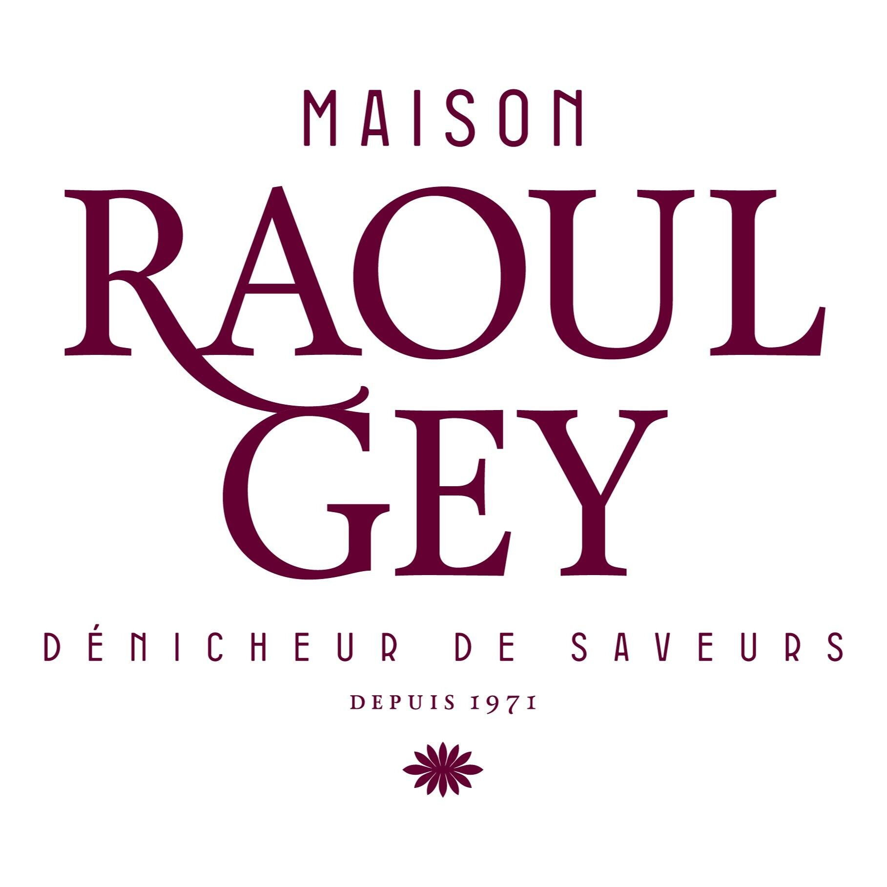 Maison Raoul GEY