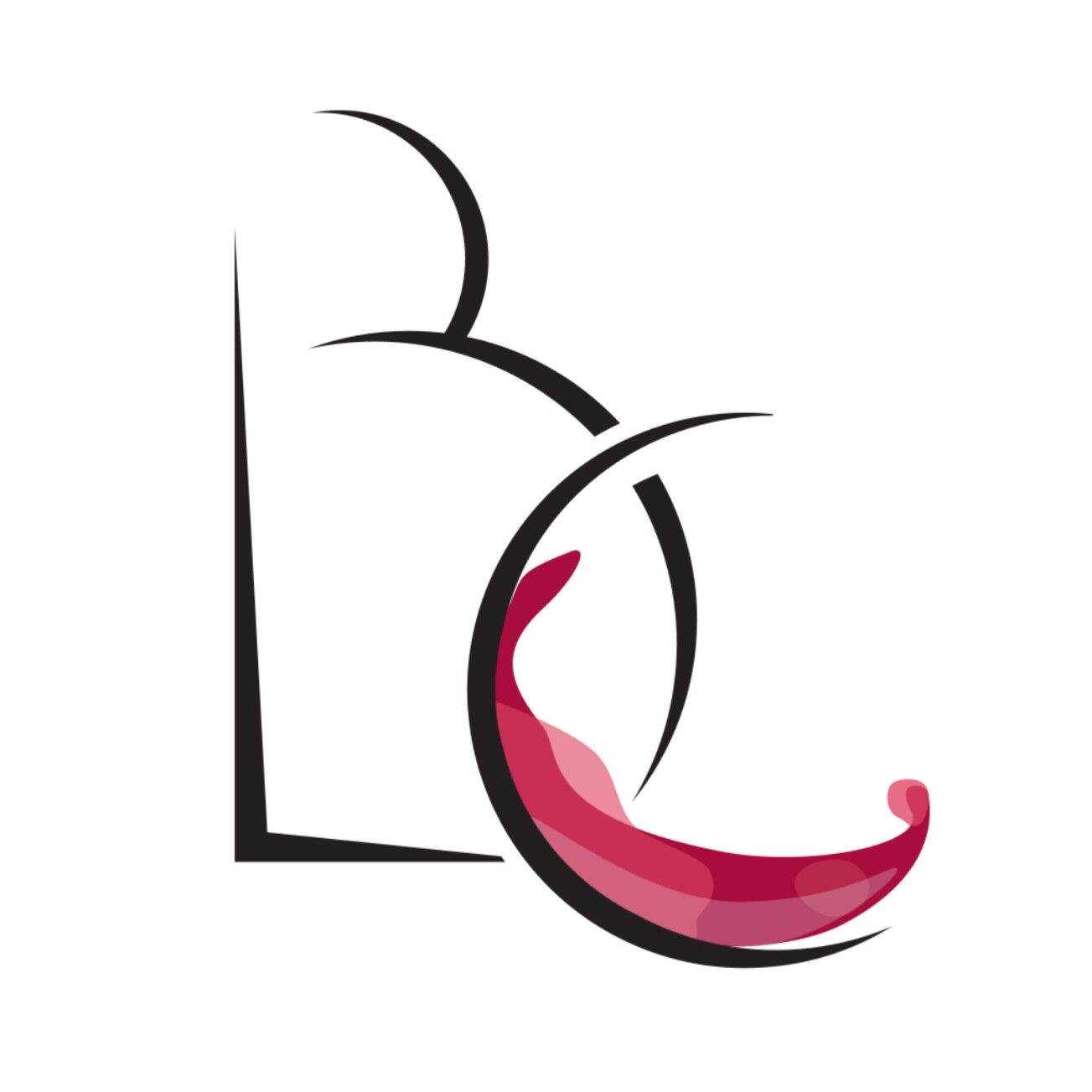 Vignobles Bayle Carreau