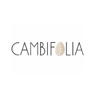 Cambifolia
