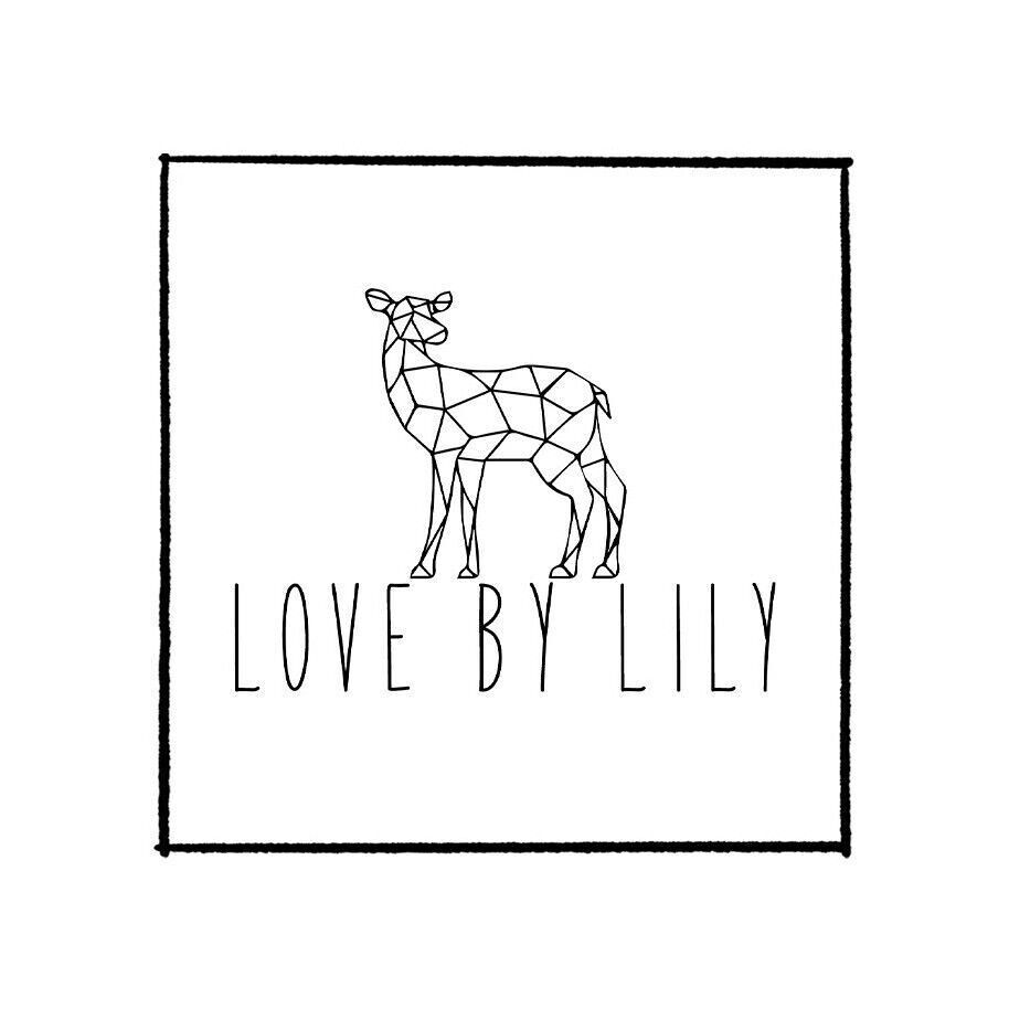 Love by Lily