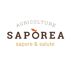 SAPOREA sapore&salute