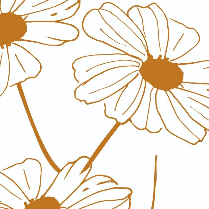 Les Fleurs de Basile