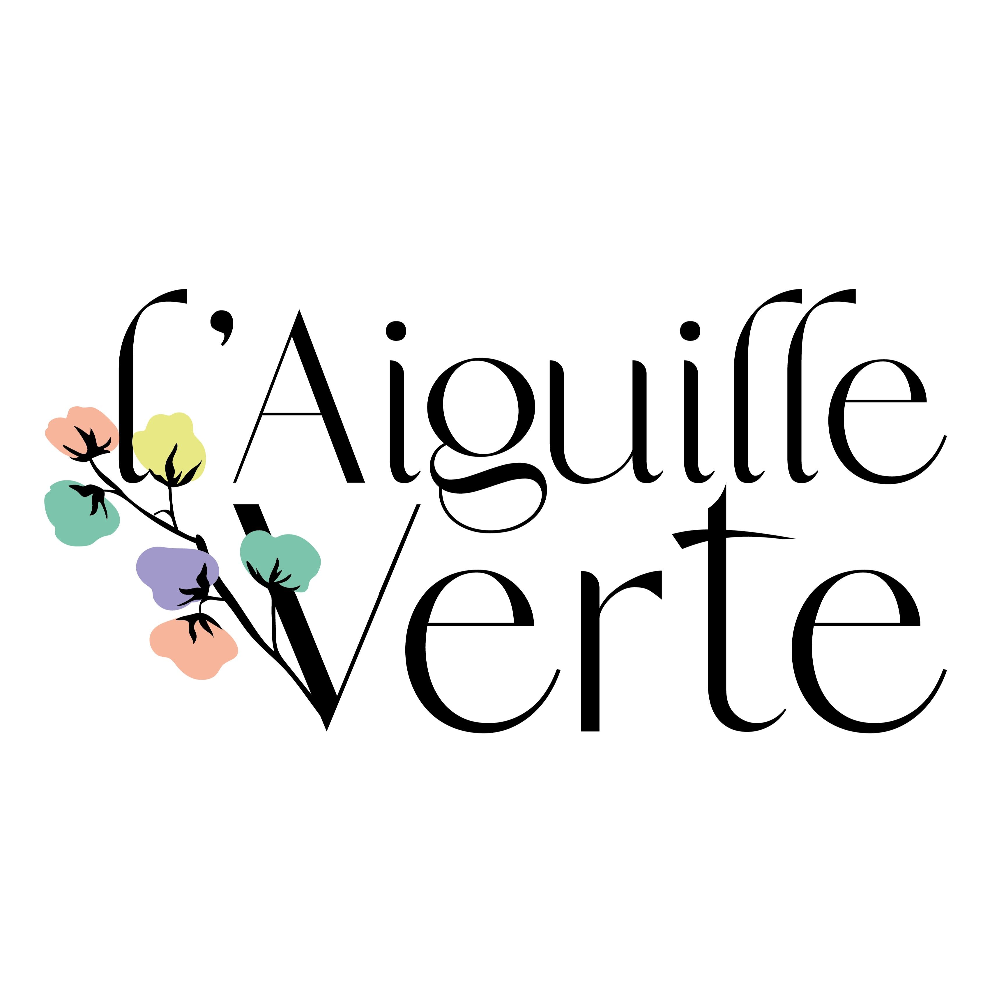 l&#039;Aiguille Verte