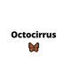 Octocirrus