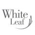 White Leaf