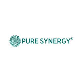 The Synergy Company