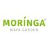 Moringa Maya Garden