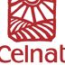 Celnat