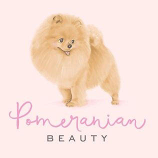 Pomeranian Beauty