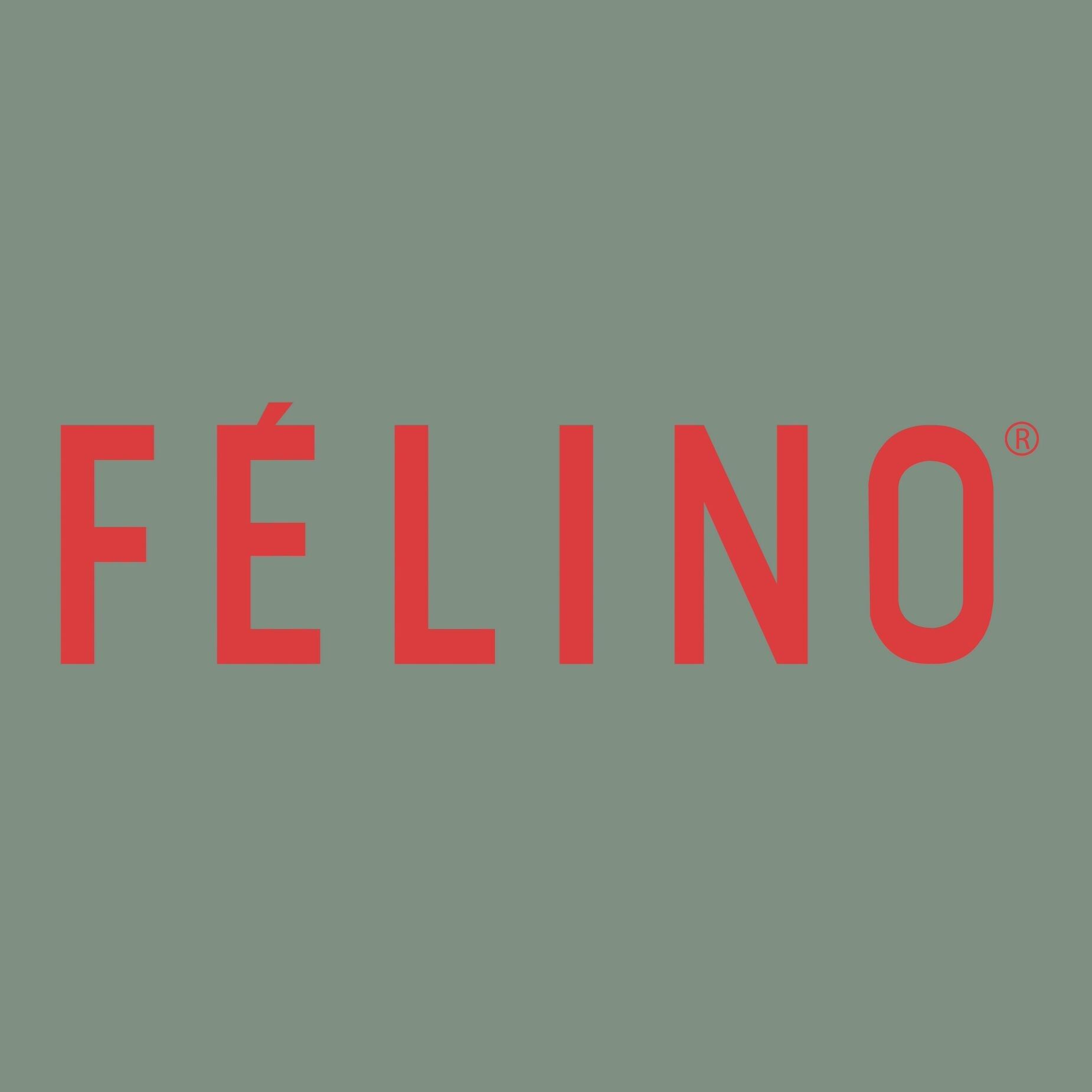 Felino