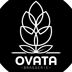 Ovata