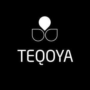 TEQOYA purificateur d'air