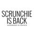 Scrunchie Is Back