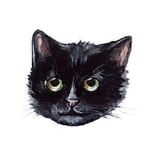 Cat by maniita lacitta