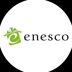 Enesco EU