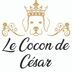 LE COCON DE CESAR