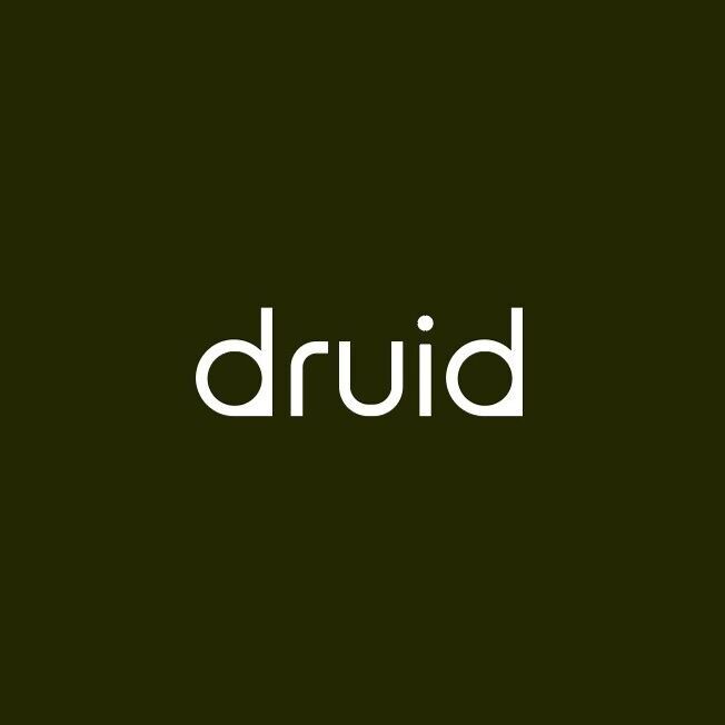 Druid