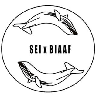 SEI X BIAAF