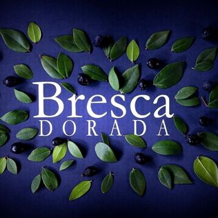 Bresca Dorada