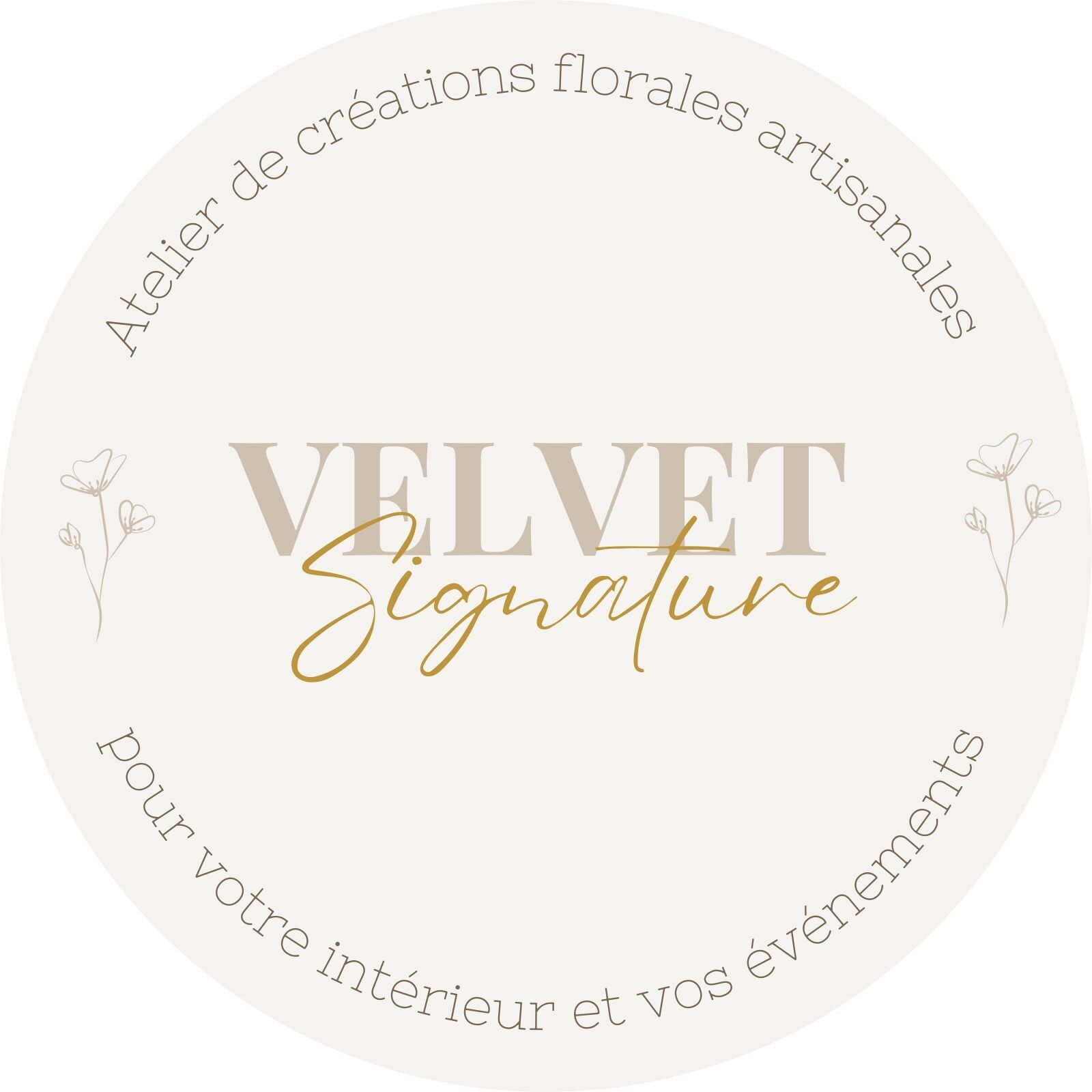 velvet signature