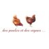 Des poules et des vignes