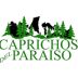 Caprichos del Paraiso