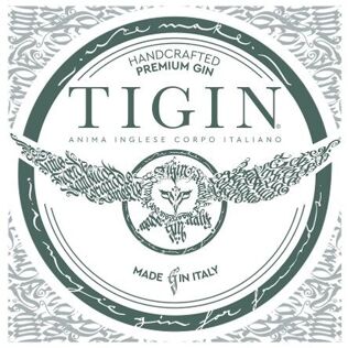 Tigin