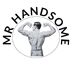 MR HANDSOME GmbH