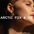 Arctic Fox & Co. Europe