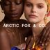 Arctic Fox & Co. Europe